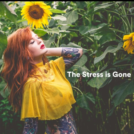 The Music Now Begins ft. Stress Relief Helper & Relaxing Music