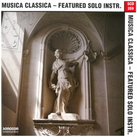 Concerto for Viola in G Major ft. The Vienna Chamber Ensemble | Boomplay Music