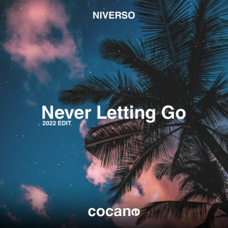 Never Letting Go (2022 Edit) | Boomplay Music