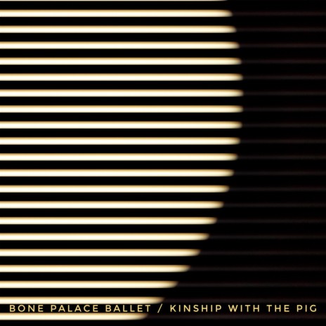 Kinship With the Pig | Boomplay Music