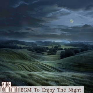 BGM To Enjoy The Night
