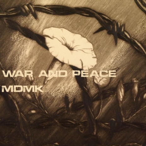 WAR AND PEACE | Boomplay Music