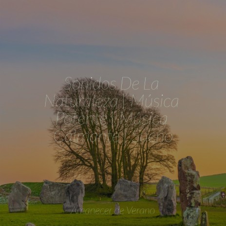 Sinfonía de Cuna Dorada ft. Relaxing Mindfulness Meditation Relaxation Maestro & MÚSICA PARA NIÑOS | Boomplay Music