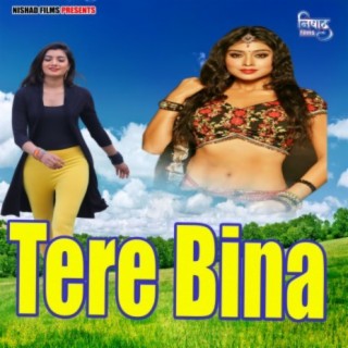 Tere Bina h