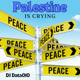 Palestine is crying lyrics | Boomplay Music