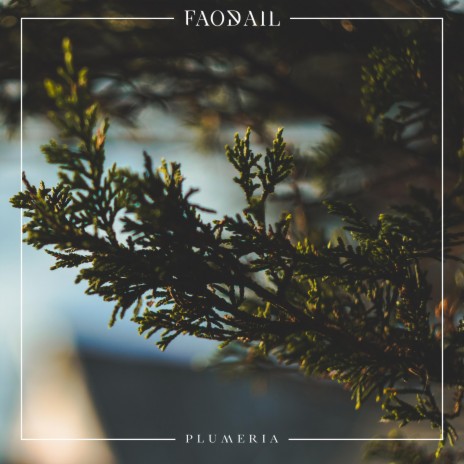 Plumeria | Boomplay Music