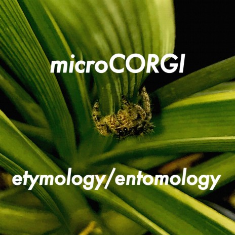 etymology/entomology