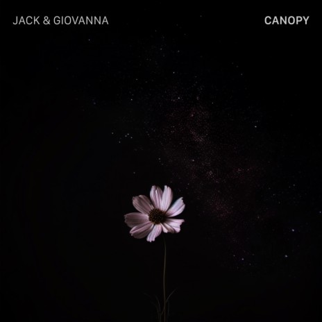 Canopy | Boomplay Music