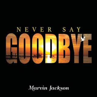 Never Say Goodbye