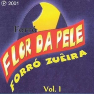 Forró Flor Da Pele - Vol.01