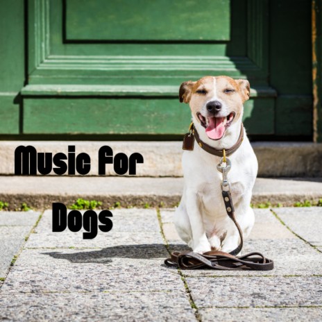 Calming Dreams ft. Music For Dogs Peace, Relaxing Puppy Music & Calm Pets Music Academy | Boomplay Music