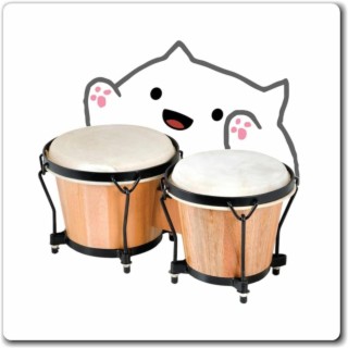 Bongo Boi