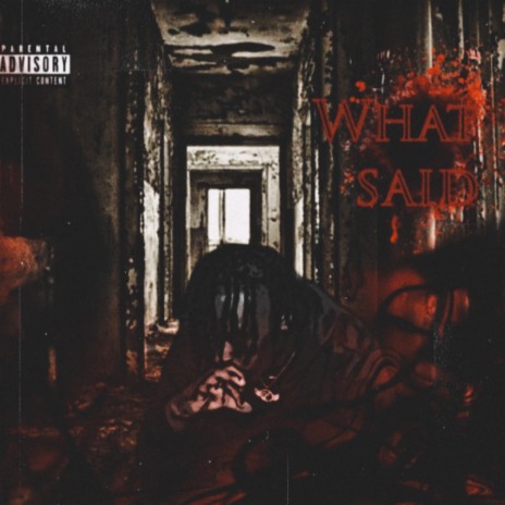 WHAT I SAID | Boomplay Music