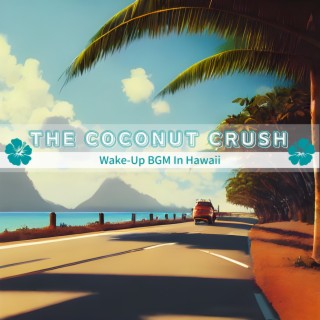 Wake-up Bgm in Hawaii