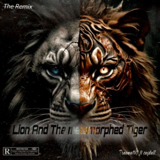 Lion & the Metamorphed Tiger