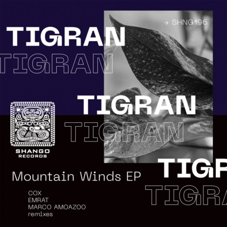 Mountain Trip (Emrat remix)
