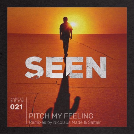 Pitch My Feeling (Original Mix) | Boomplay Music