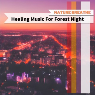 Healing Music For Forest Night