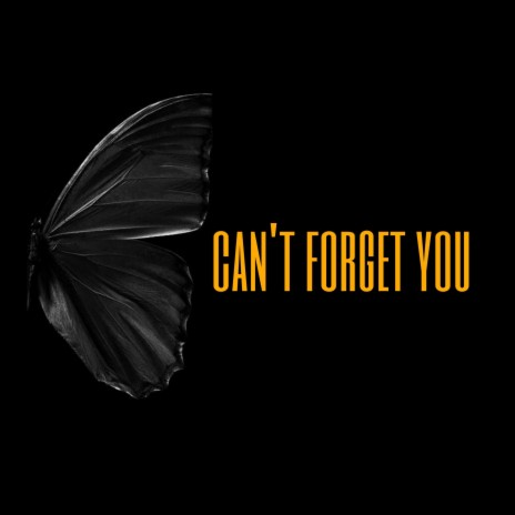 Can't forget you | Boomplay Music