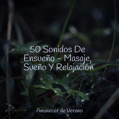 Resurgimiento del Amanecer Carmesí ft. Sleep Sound Library & Calming Sounds | Boomplay Music