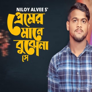 Premer Mane Bujhe Na Se (feat. Niloy Alvee)