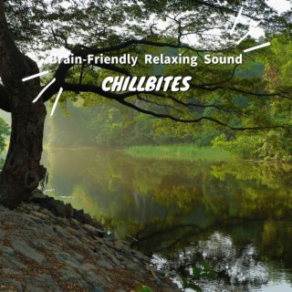 Brain-friendly Relaxing Sound