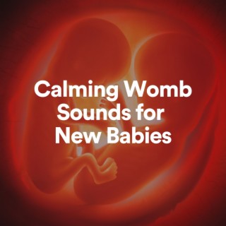 Calming Womb Sounds for New Babies