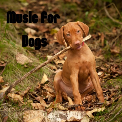 The Dog Blues ft. Music For Dogs Peace, Relaxing Puppy Music & Calm Pets Music Academy