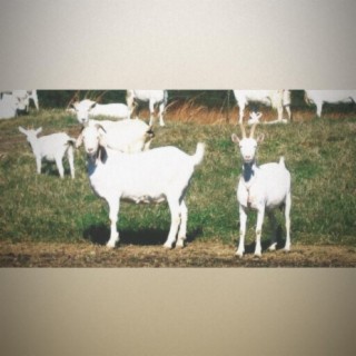 goat onna farm (feat. t crews)