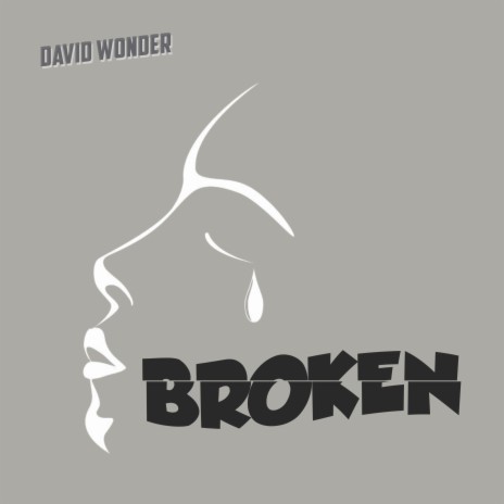 BROKEN - David Wonder_01 | Boomplay Music