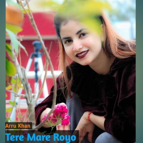 Tere Mare Royo | Boomplay Music