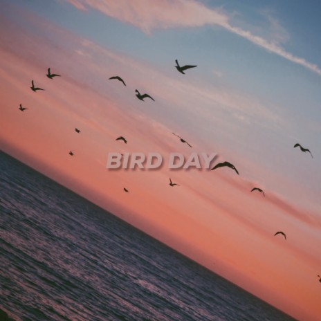 Bird Day | Boomplay Music