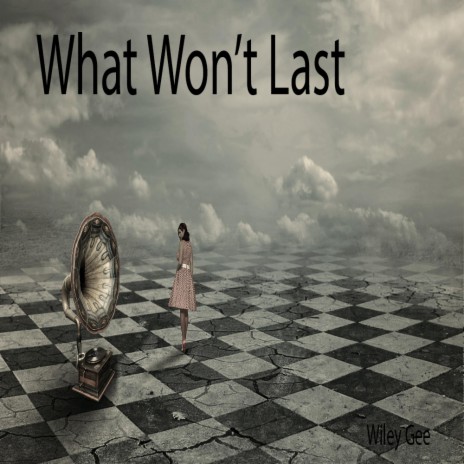 What Won't Last | Boomplay Music