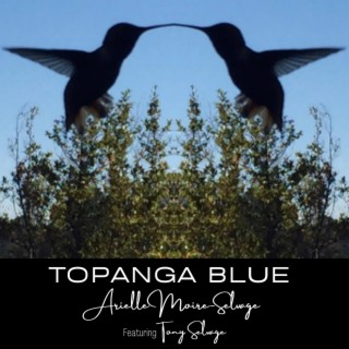 Topanga Blue