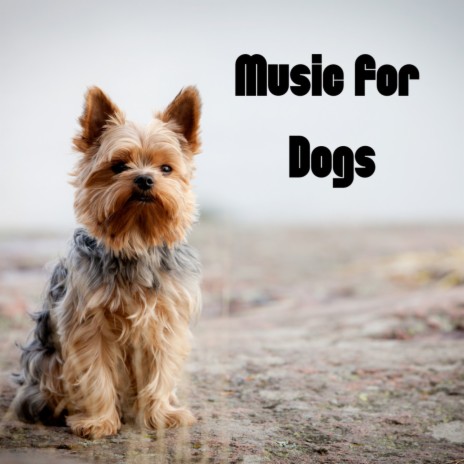 Dog Sounds ft. Music For Dogs, Relaxing Puppy Music & Calm Pets Music Academy | Boomplay Music