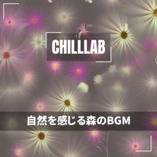 自然を感じる森のBGM