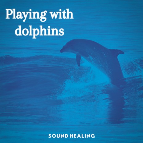 Playing With Dolphins | Boomplay Music