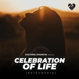 Celebration Of Life (Instrumental)