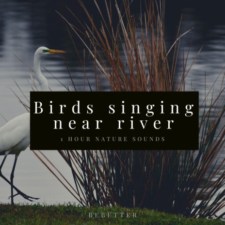 1hour Relaxing River sound with Birds singing