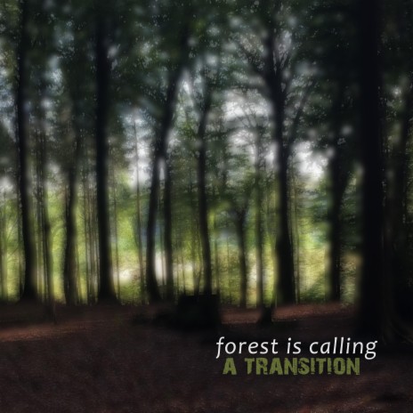 Forest is calling | Boomplay Music