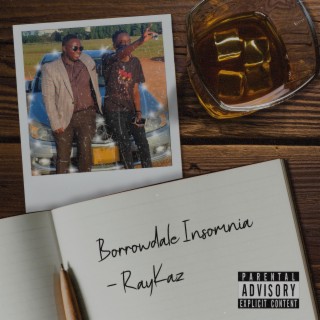 Borrowdale Insomnia lyrics | Boomplay Music