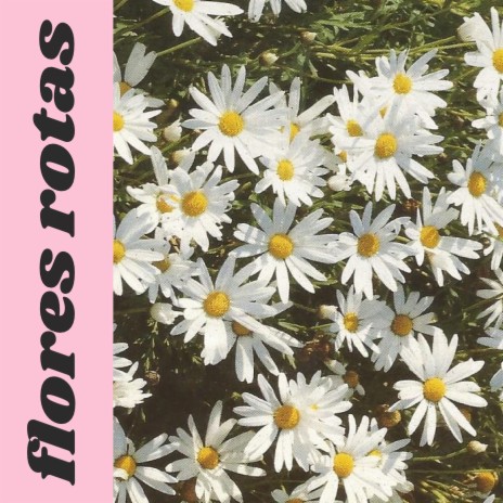 Flores Rotas ft. 9ckles | Boomplay Music