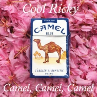 Camel, Camel, Camel