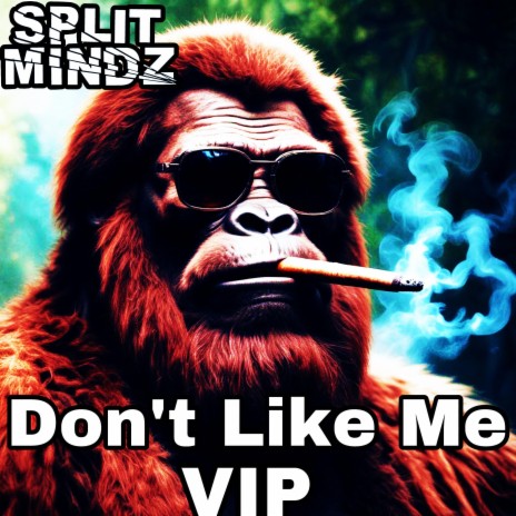 Don't Like Me (VIP)