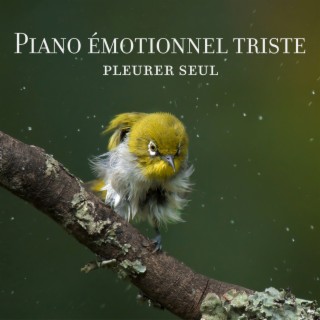 Piano émotionnel triste: Pleurer seul, Meilleures pièces de piano mélancoliques, Chanson de piano triste et émotionnelle instrumentale