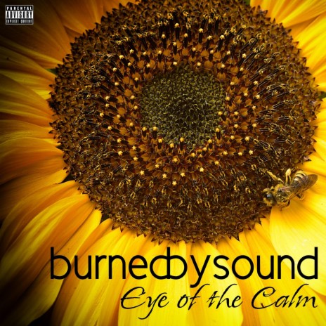 Eye Of The Calm | Boomplay Music