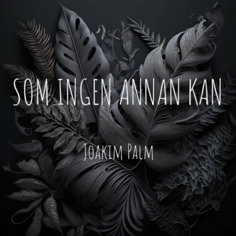 Som ingen annan kan | Boomplay Music