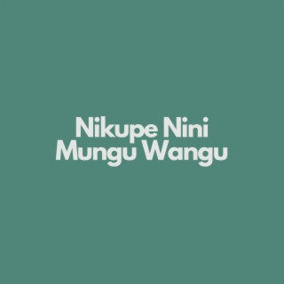 Nikupe Nini Mungu Wangu