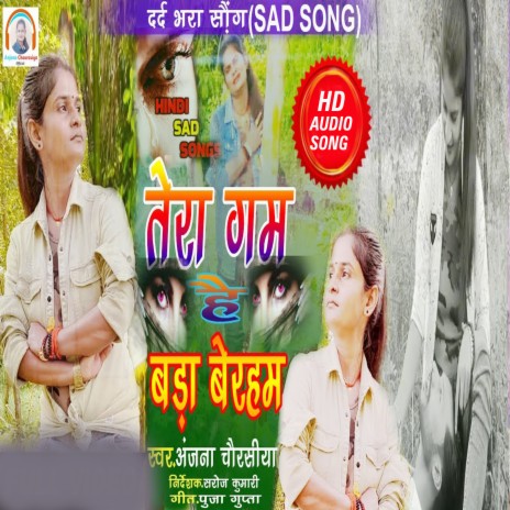 Tera Gam Bada Berham (Hindi) | Boomplay Music