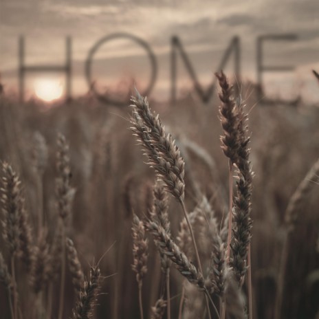 HOME | Boomplay Music